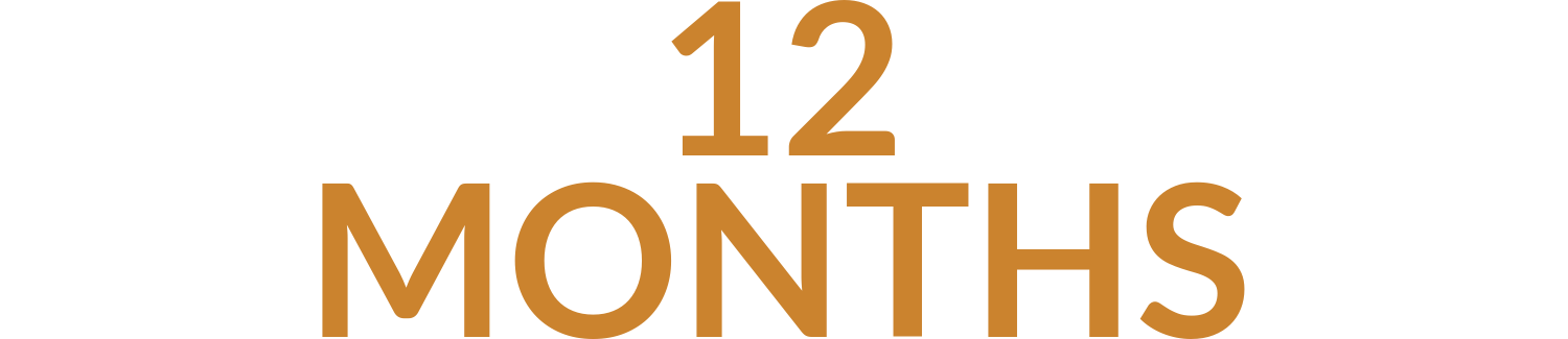 12-months-icon-2