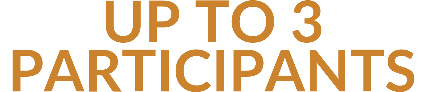 3-participants-icon-2